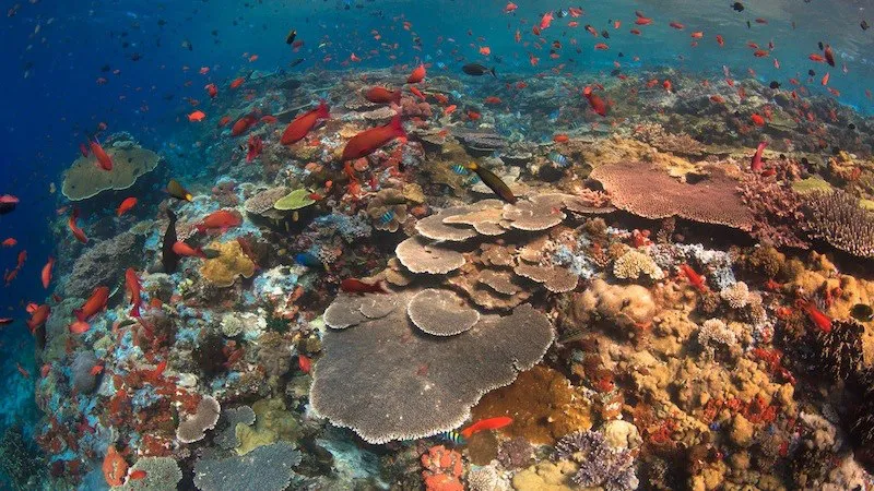 Batu Bolong on Komodo National Park | Labuan Bajo VIP