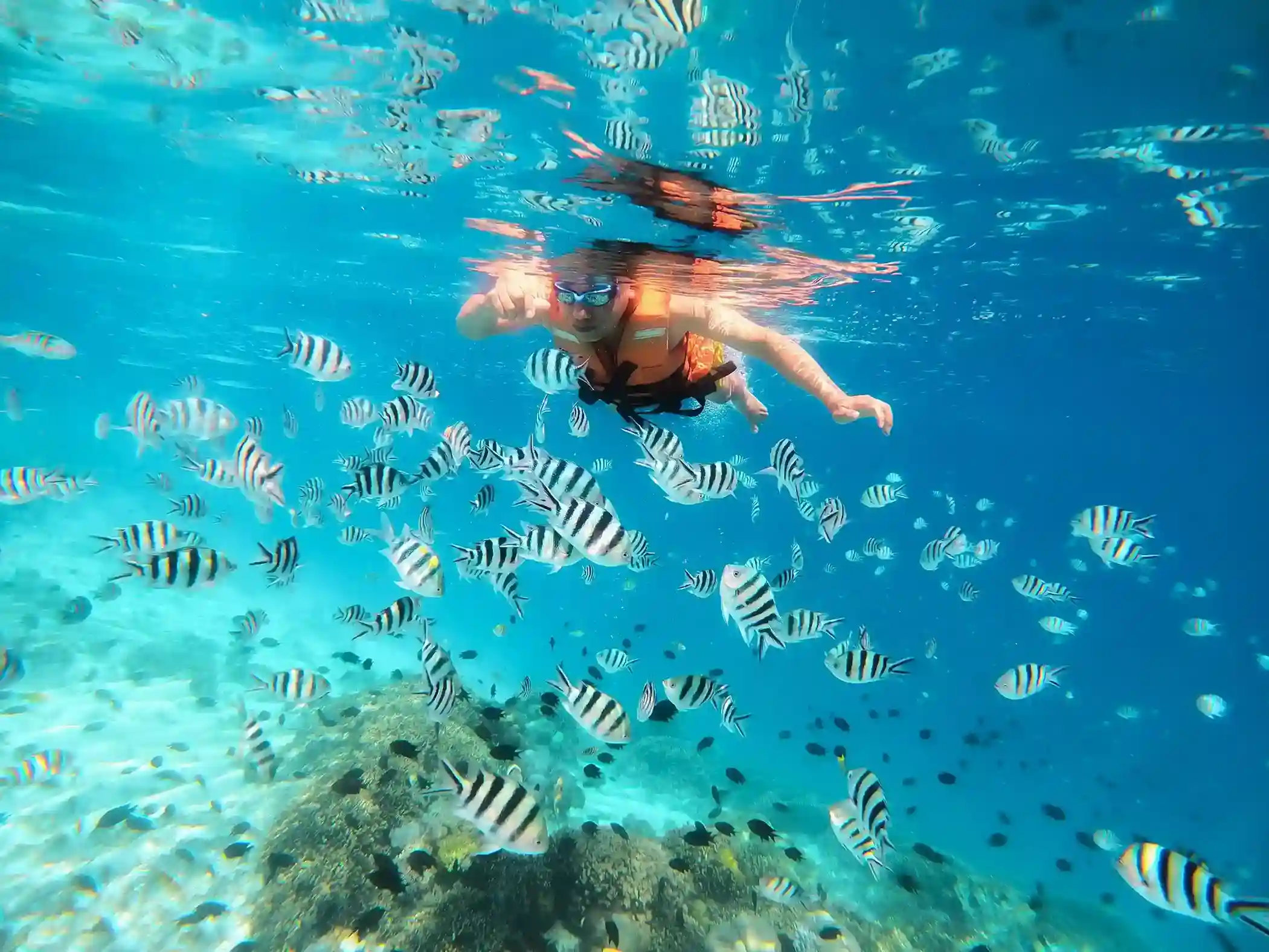 Snorkeling at Kanawa Island | Komodo Tour | Labuan Bajo VIP
