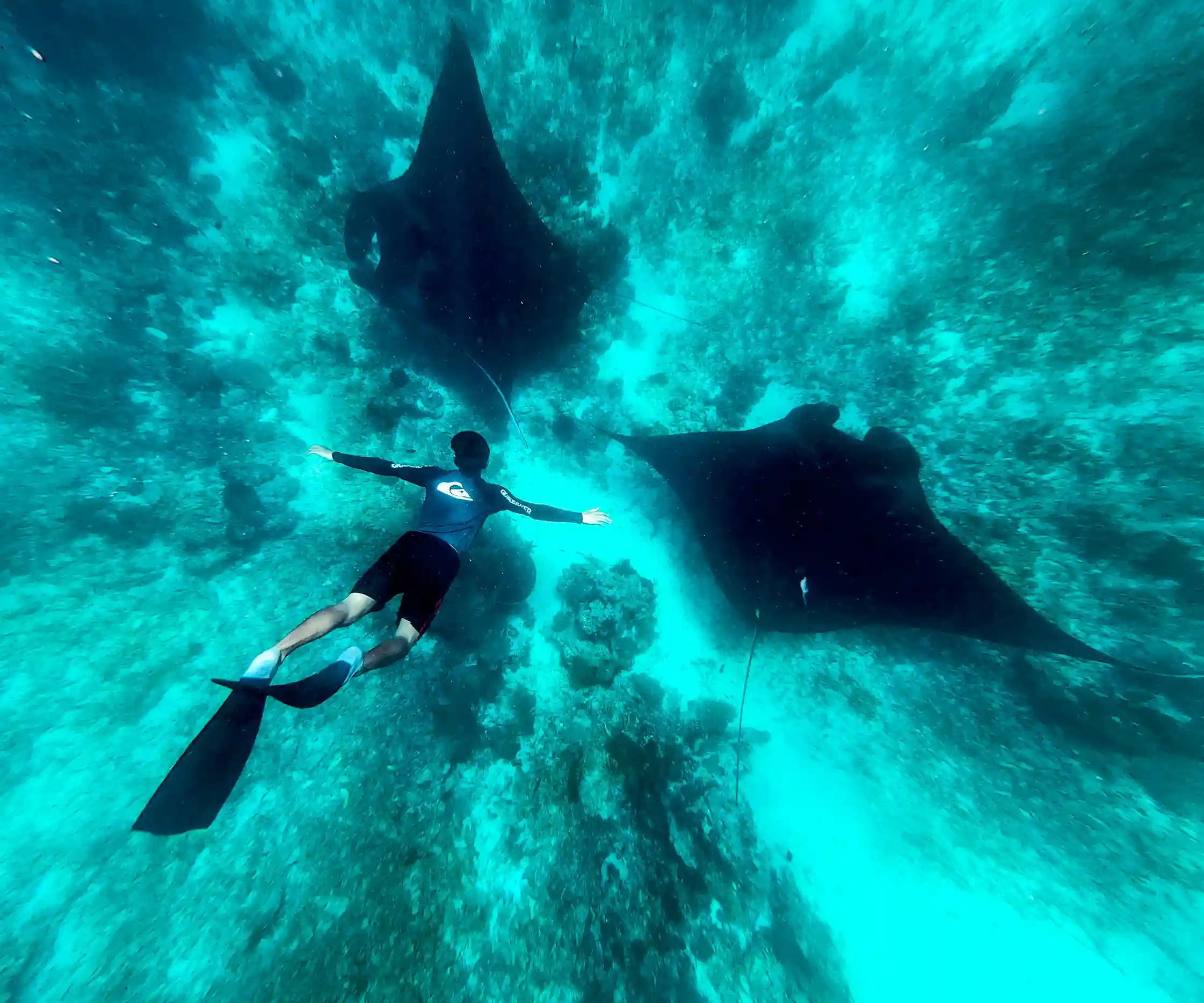 Manta Point on Komodo National Park | Labuan Bajo VIP