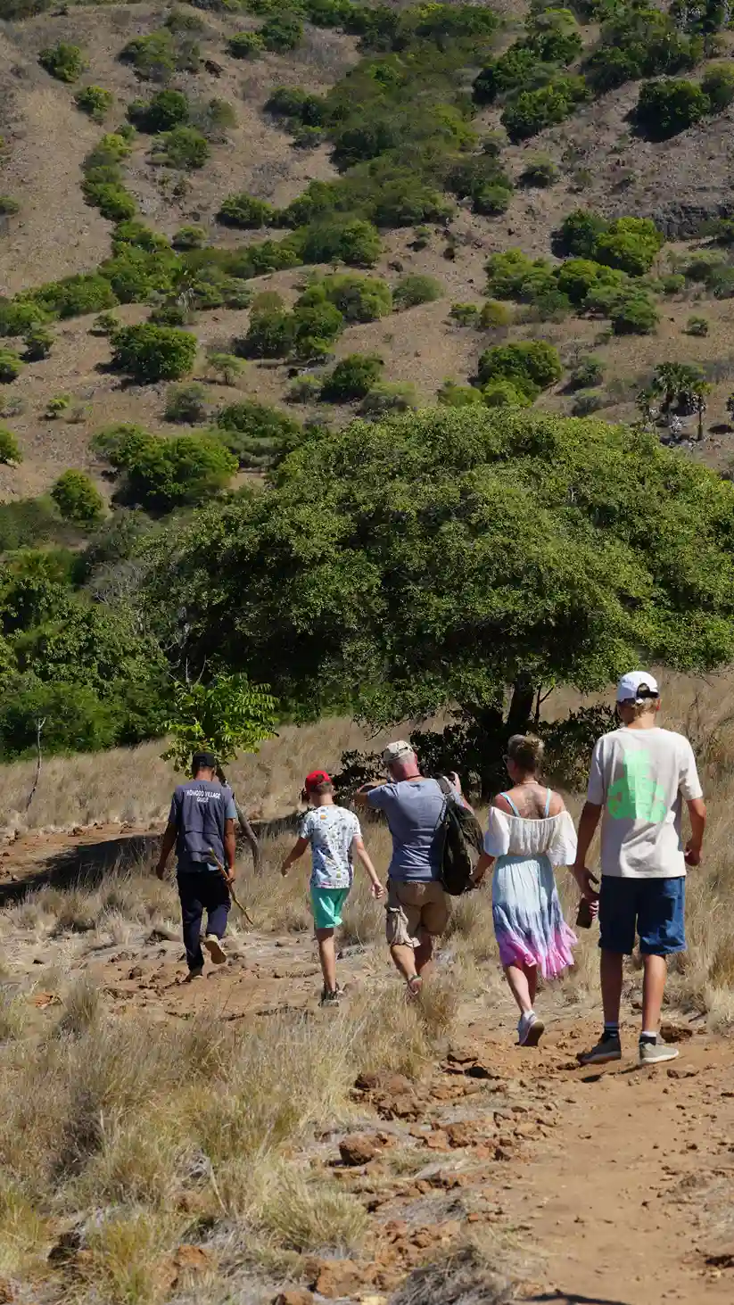 Rinca Island on Komodo National Park | Labuan Bajo VIP