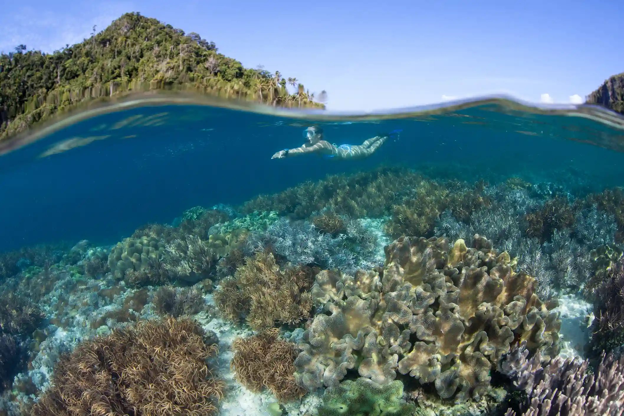 Sebayur Island on Komodo National Park | Labuan Bajo VIP